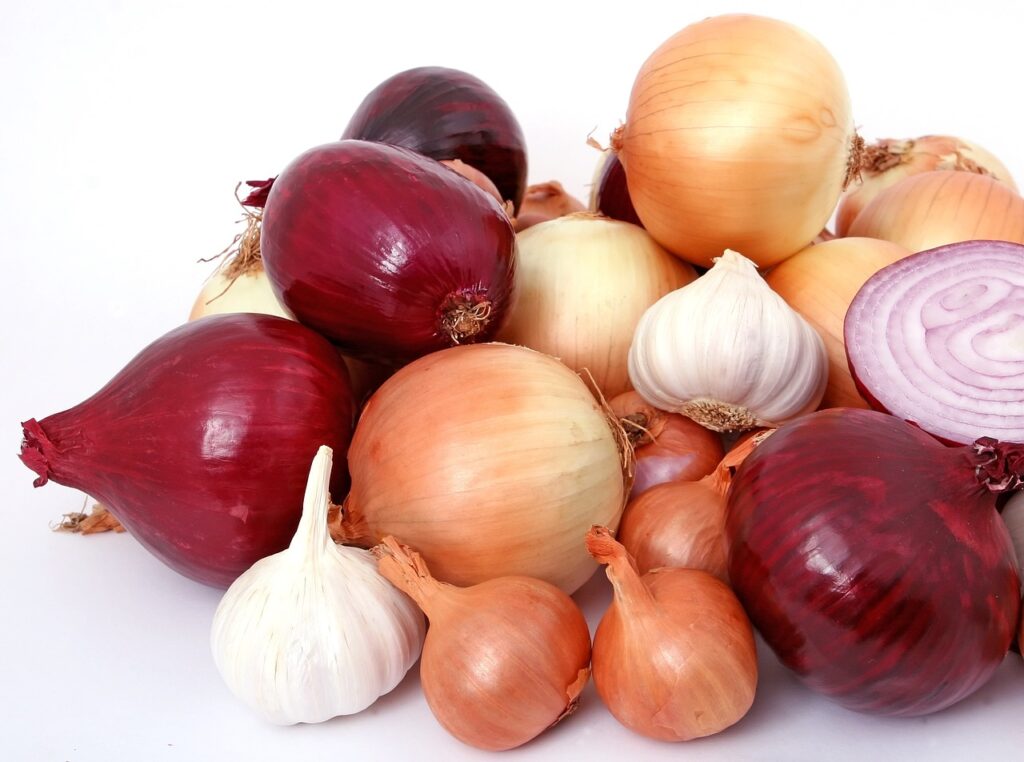 top ten benefits of onions